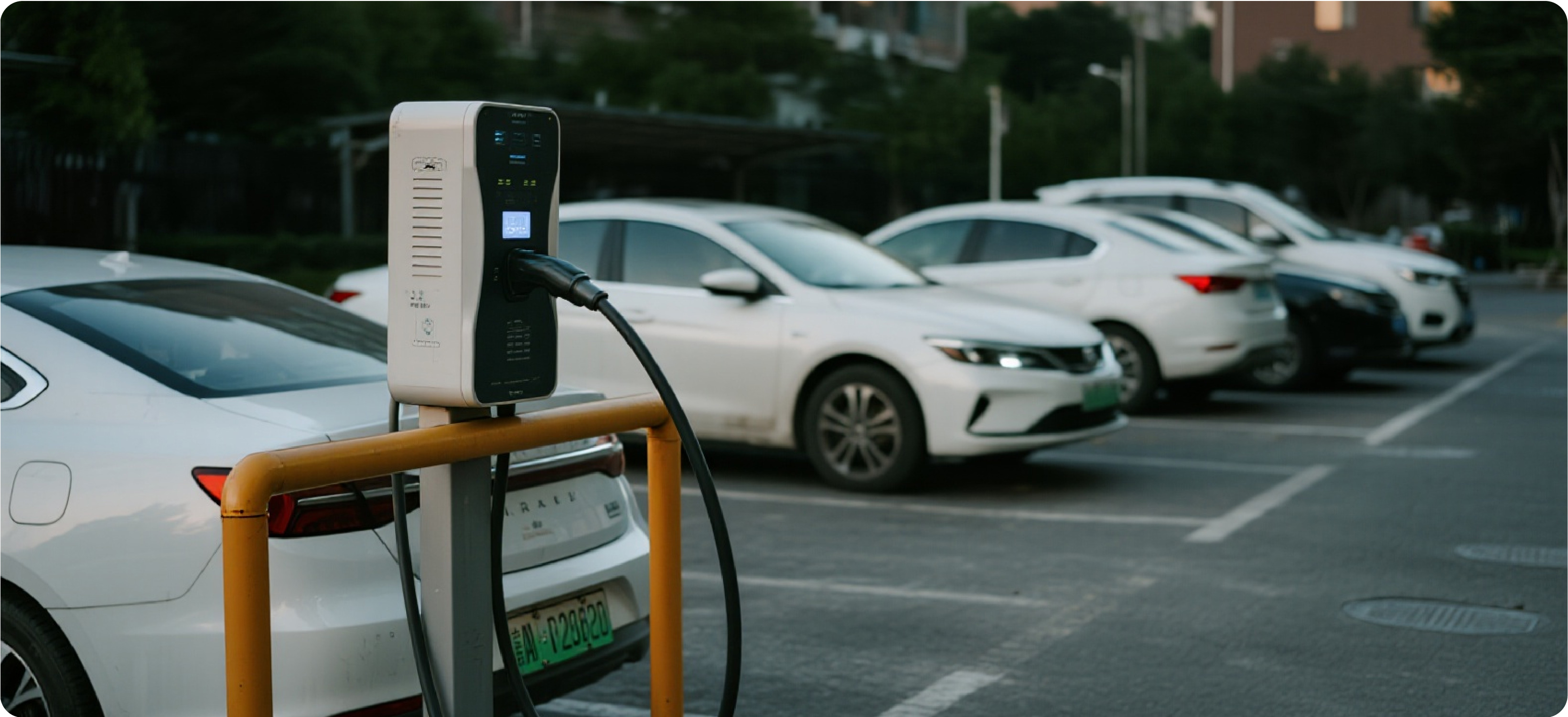 尊龙凯时·(中国游)官方网站